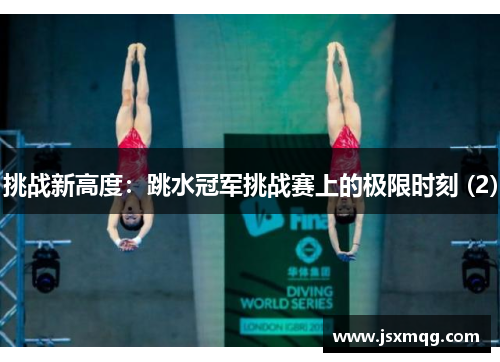 挑战新高度：跳水冠军挑战赛上的极限时刻 (2)