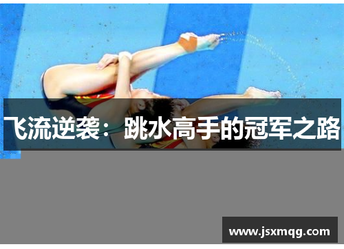 飞流逆袭：跳水高手的冠军之路
